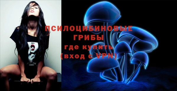 хмурый Алзамай