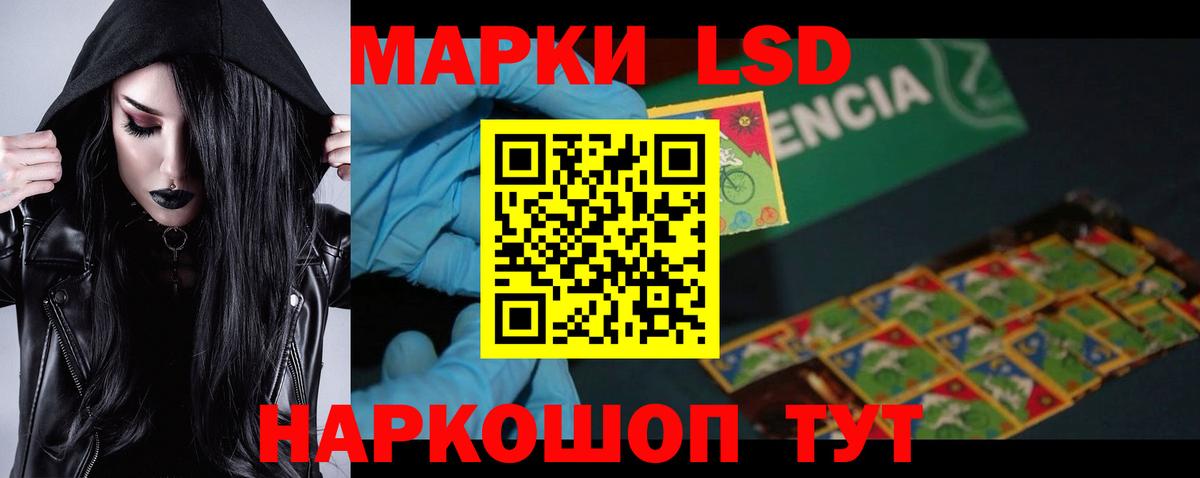 МЕФ Ефремов