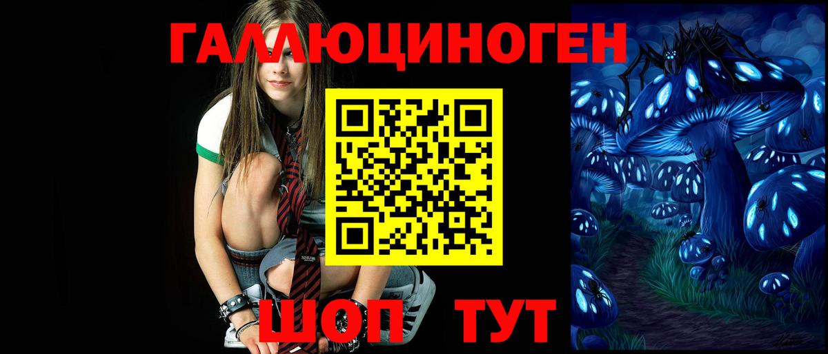 купить наркотики цена  Псилоцибиновые грибы GOLDEN TEACHER  Вход с VPN  Ефремов  Псилоцибиновые грибы ЛСД 